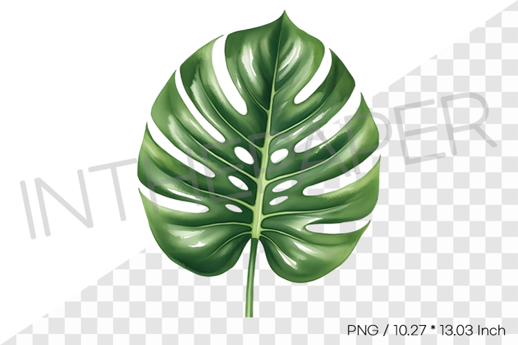 Monstera Leaf Clipart Image 4