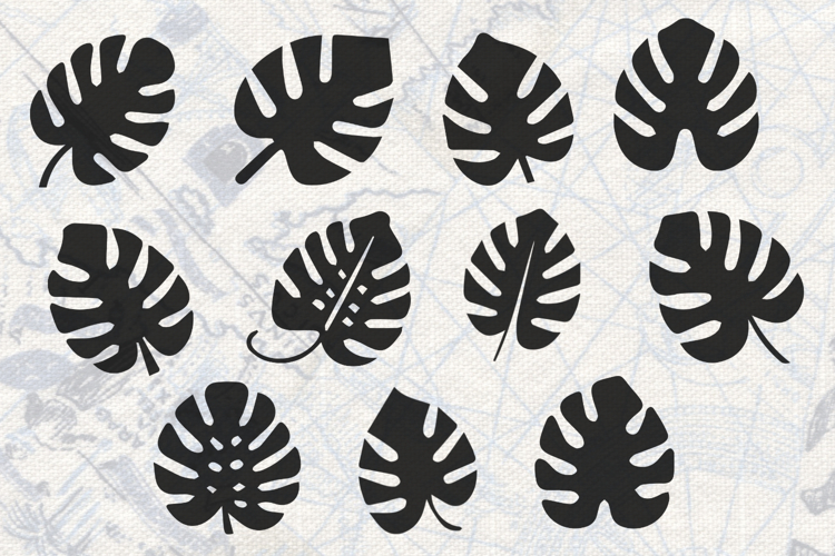Monstera Leaves Collection SVG