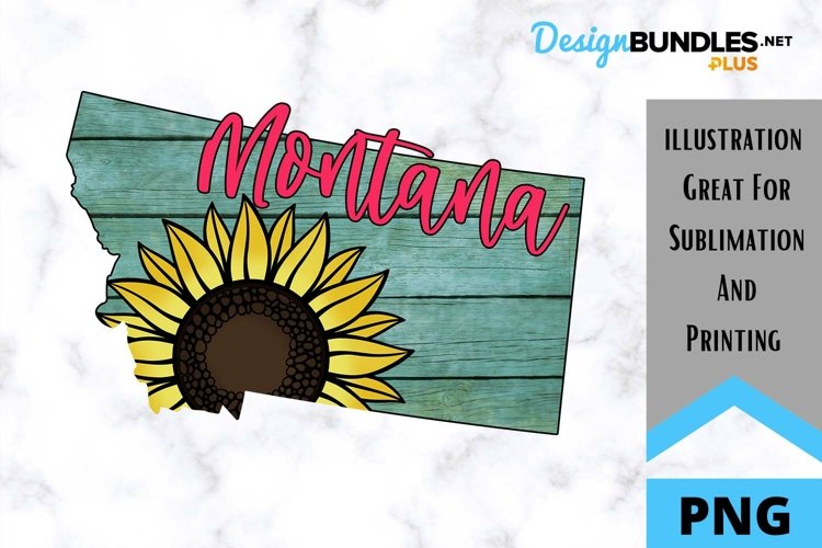 Sunflower Background Image 23