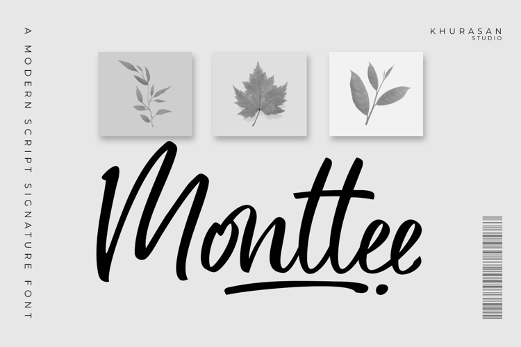 Monttee - a Modern Signature Font