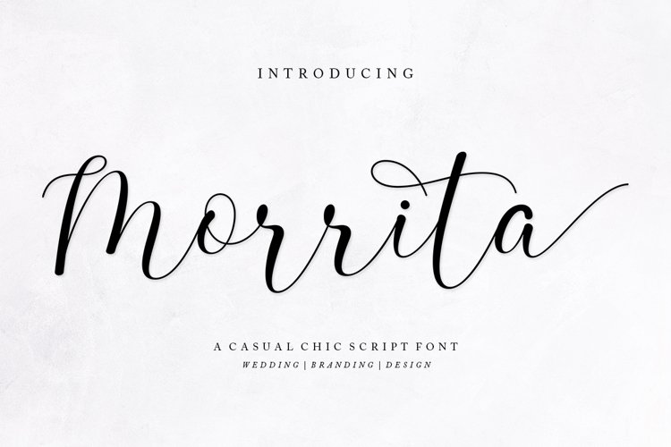 Romantic Collection Font Bundle