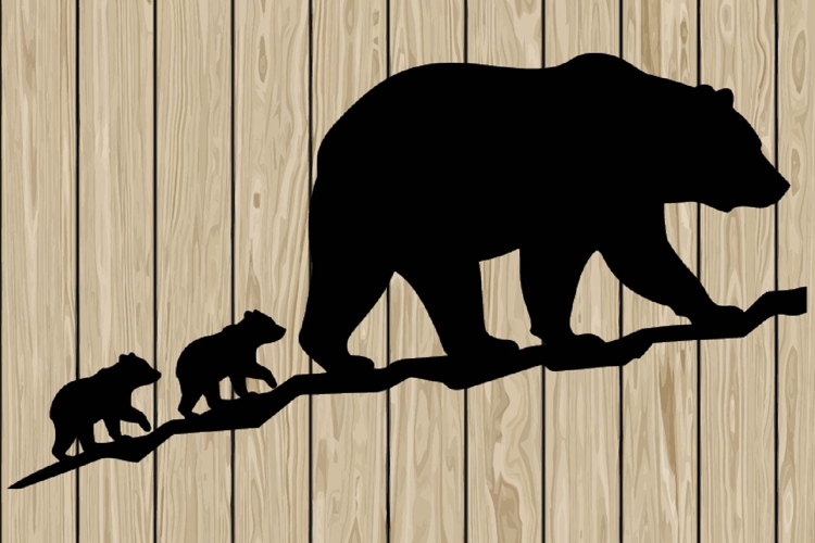 Animal Silhouette Image 16