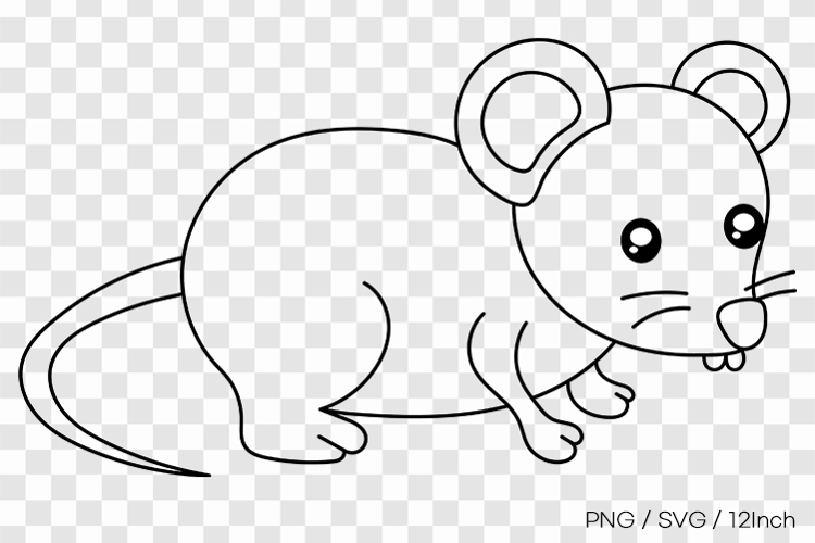 Little small mouse rodent sweet character PNG animal clipart