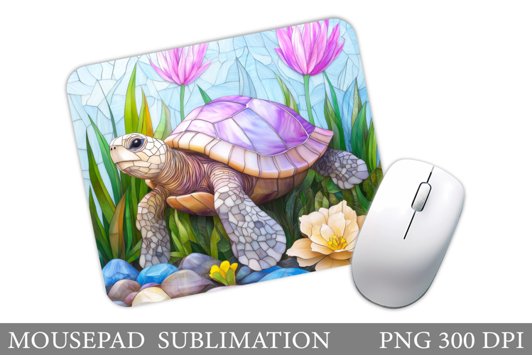 Turtle Png Image 11