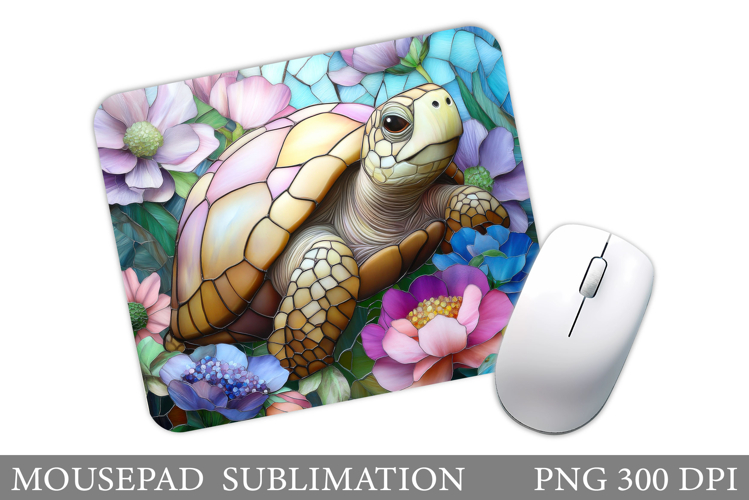 Turtle Png Image 10