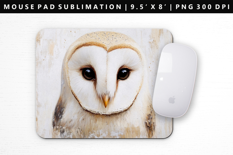 Owl Png Image 14
