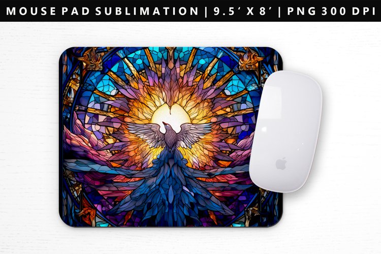 Bird PNG Image 17