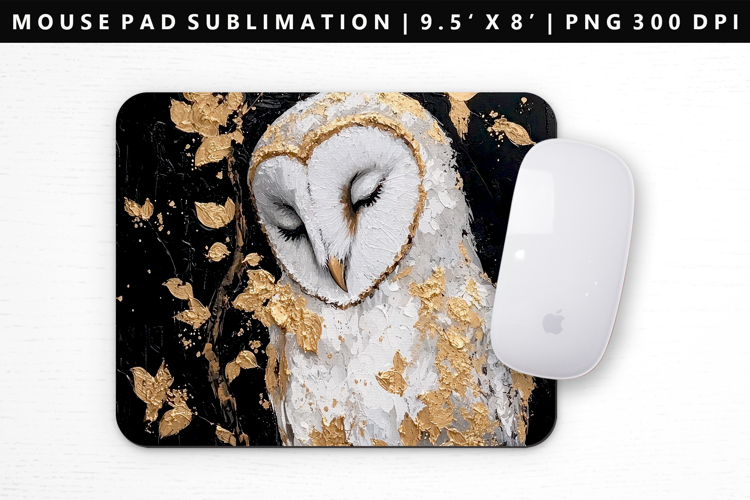Owl Png Image 11
