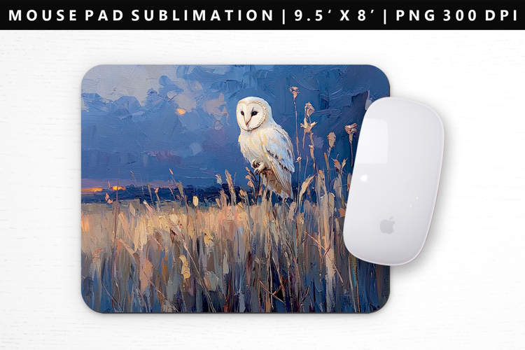 Owl Png Image 10