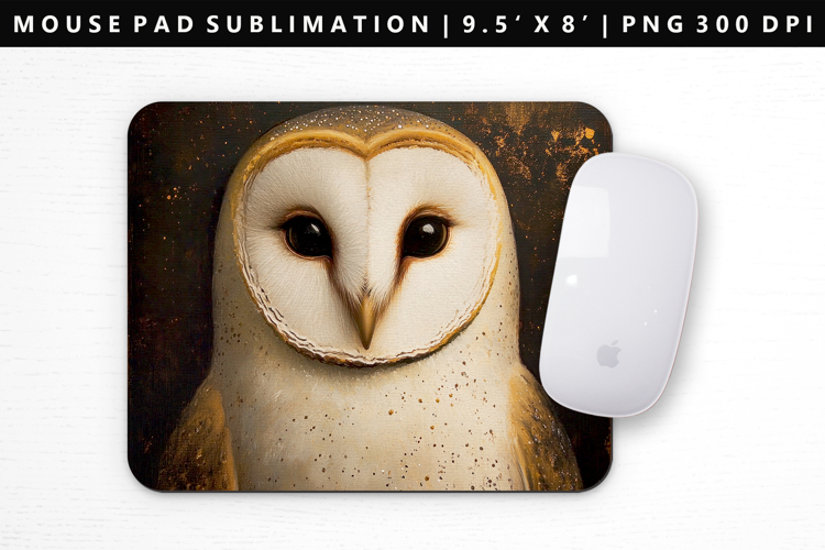 Owl Png Image 7