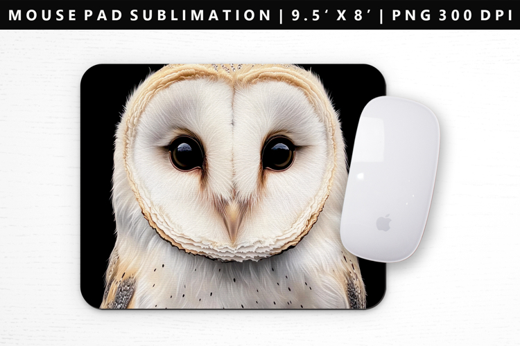 Owl Png Image 5