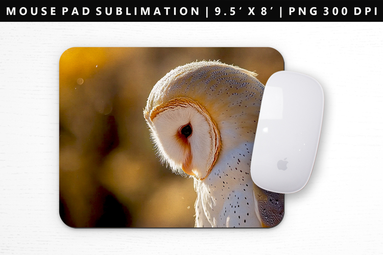 Owl Png Image 4