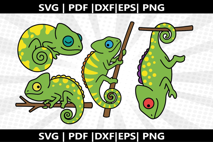 Chameleon cricut Silhouette,kids Shirt