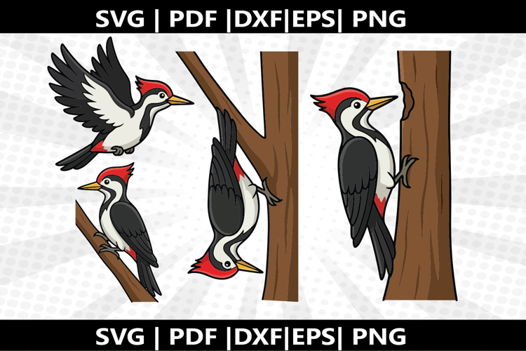 Woodpecker cricut Silhouette,kids Shirt