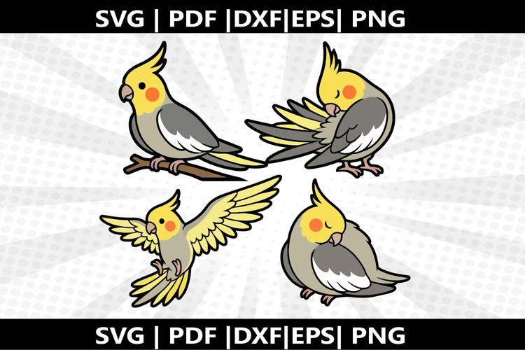 Cockato cricut Silhouette,kids Shirt