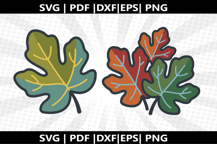 Leaf PNG Image 13