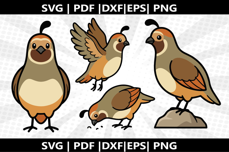 Cricut Silhouette Image 5