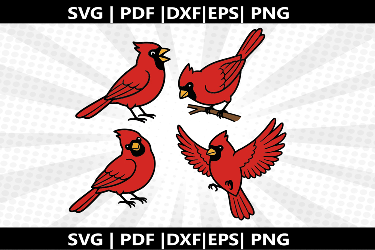 Cardinals cricut Silhouette,kids Shirt