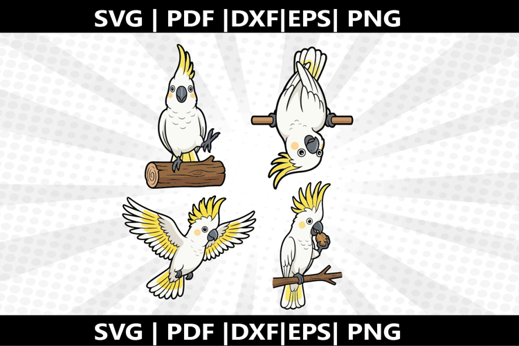 Cockato cricut Silhouette,kids Shirt