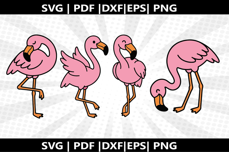 Flamigo cricut Silhouette,kids Shirt