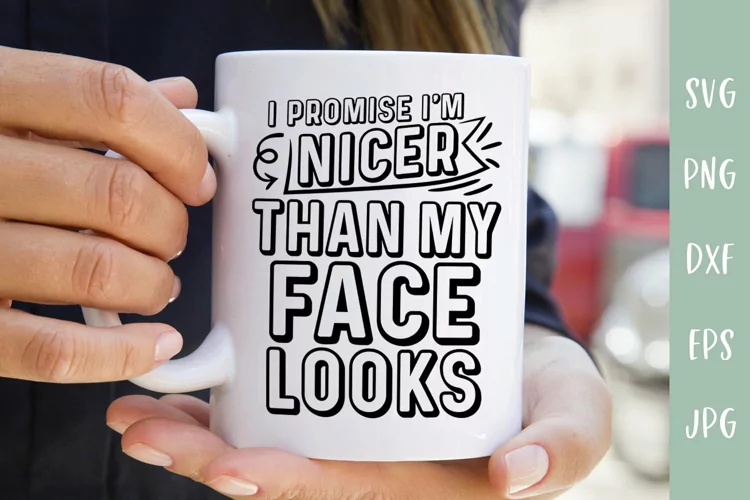 Nicer Than My Face Looks - Sarcastic SVG