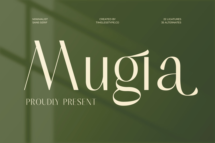 Modern Serif Font Image 11