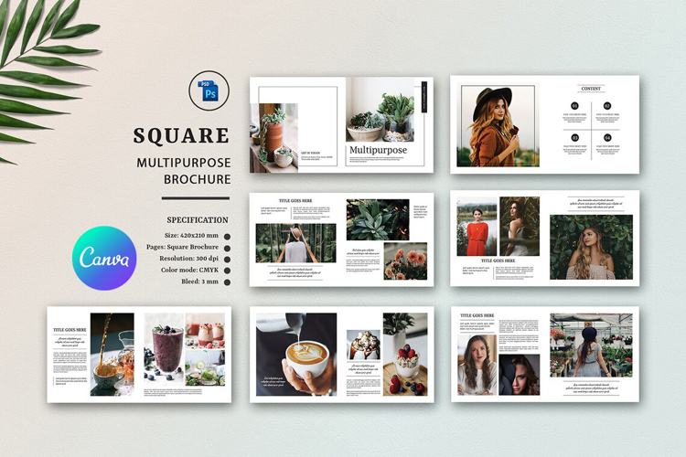 Multipurpose Square Brochure CANVA