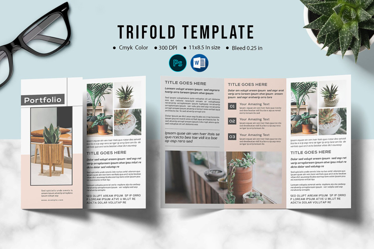 Multipurpose Trifold Brochure