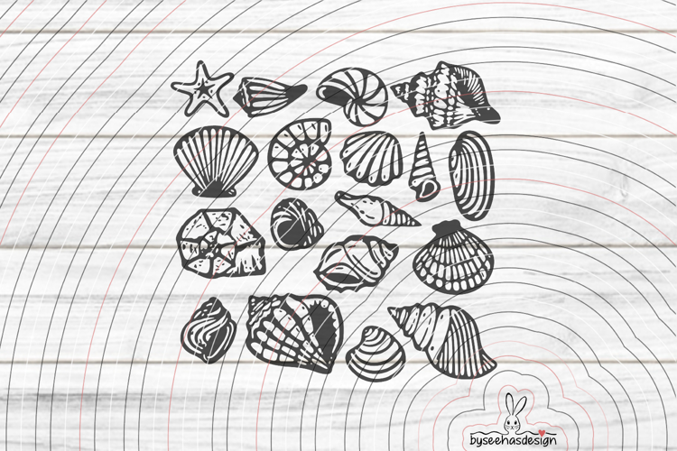 Shells Cutting file SVG DXF