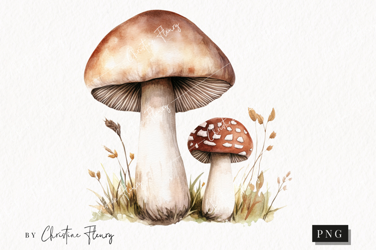Cozy Fall Mushroom PNG