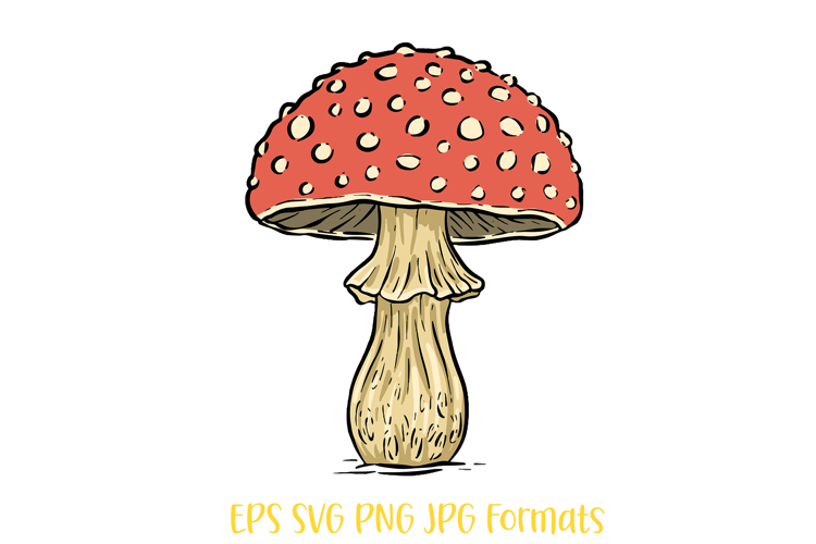 Mushroom Clipart