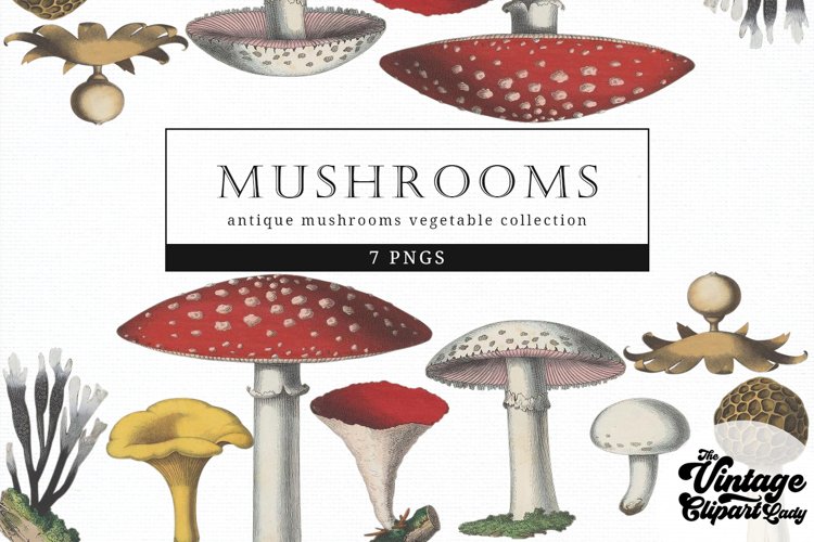 Mushrooms Clipart