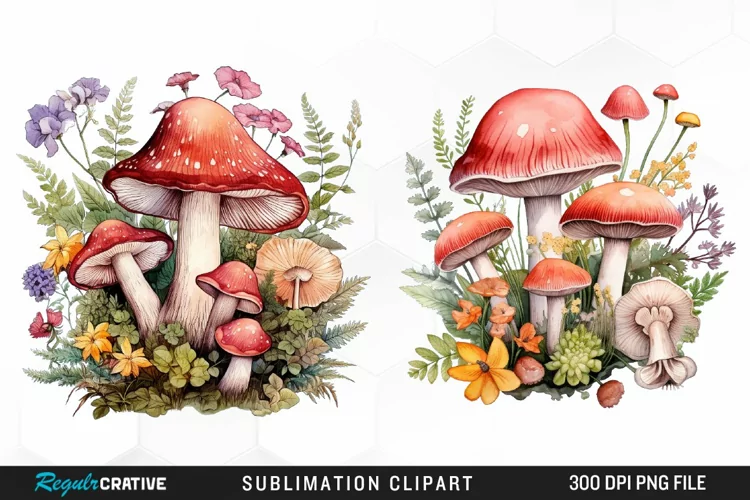 Watercolor Mushrooms Sublimation PNG Clipart