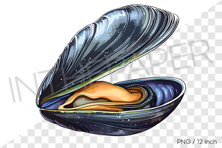 Marine Clipart Image 9