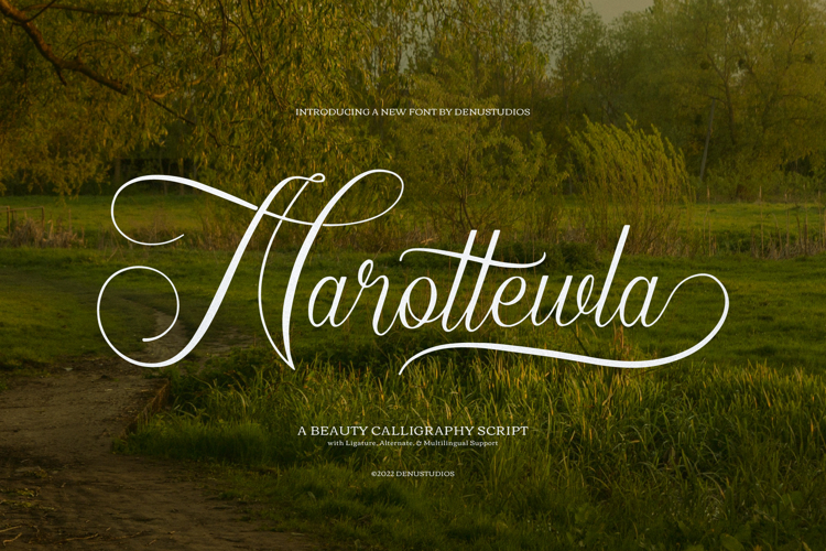 Narottewla | Beauty Callighraphy Script