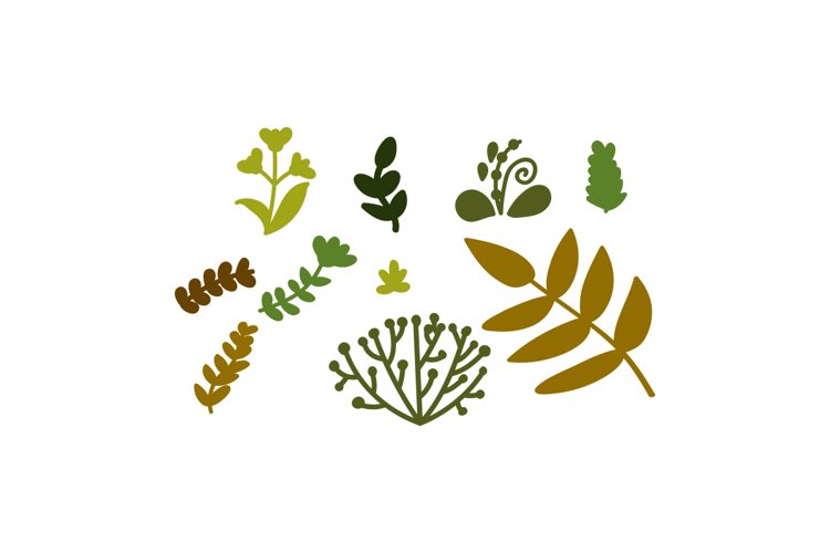 Nature Svg Image 24