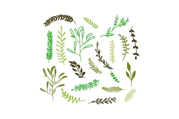 Nature Svg Image 21
