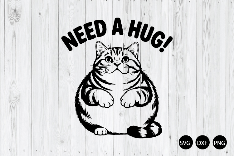 Need a Hug SVG, Funny Cat SVG, Funny Sarcastic Quote SVG