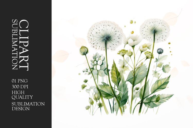 Watercolor dandelion leaf clipart sublimation