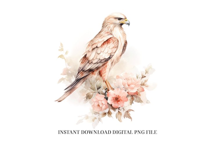 Bird PNG Image 16