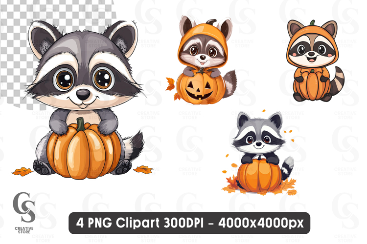 Raccoon Png Image 12