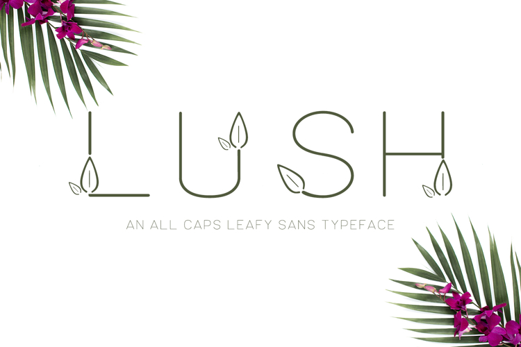 Leaf Font Image 21