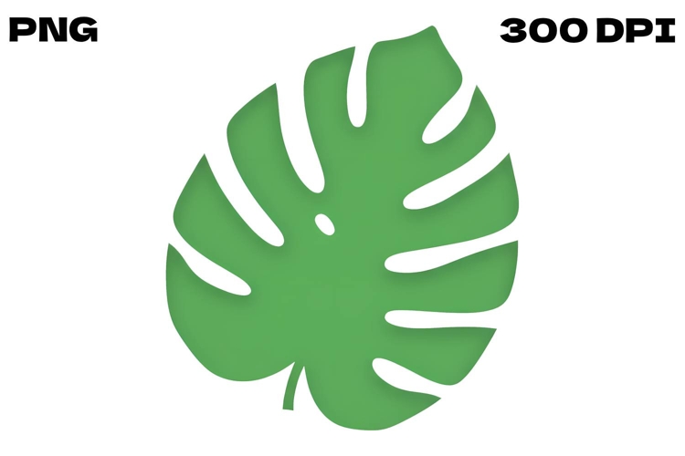 Paper-Cut Monstera Leaf