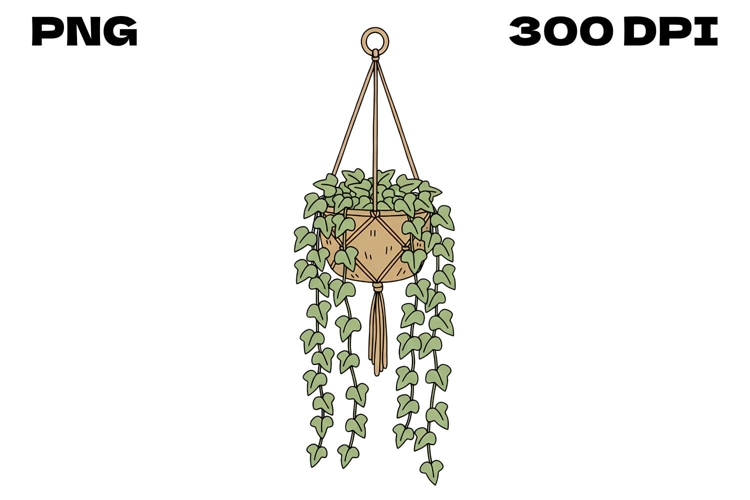 Hanging Ivy Plant Doodle - Hand-Drawn Macramé Basket Clipart