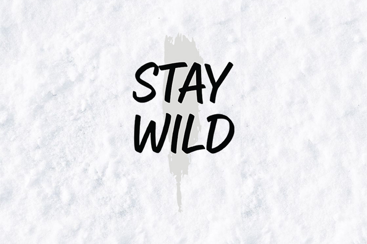 Stay Wild SVG - Edgy Grunge Typography Quote Design