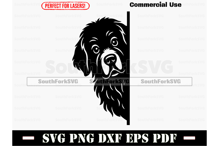 Cat Logo Design Image 7