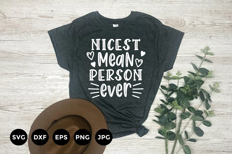 Nicest Mean Person Ever | Sarcastic T-Shirt Design