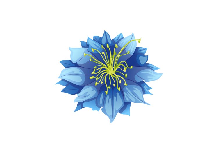 Seed Clipart Image 6