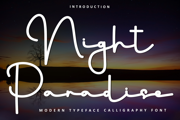 Night Paradise