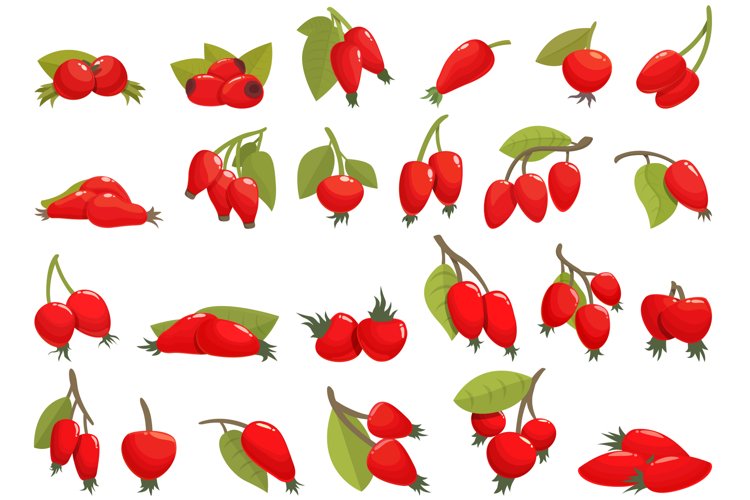 Cartoon Icon Image 13